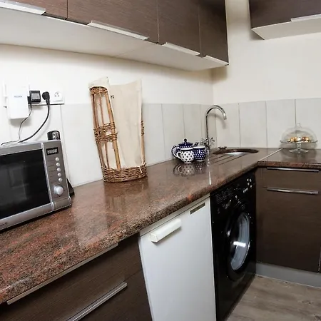 De La Vanoise 招待所 拉普拉涅