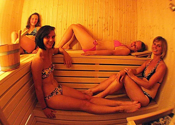 De La Vanoise 招待所 3*